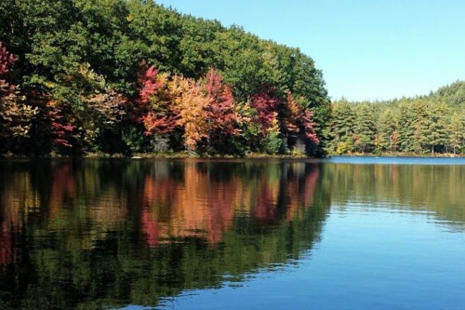 Visit Goose Pond while staying at The Burrell House in Keene NH