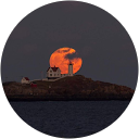 CK Strauch profile picture